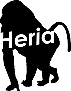 HERIA trademark