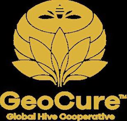 GEOCURE GLOBAL HIVE COOPERATIVE trademark