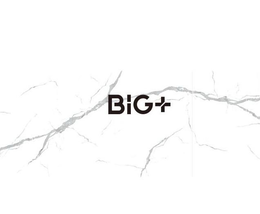 BIG+ trademark