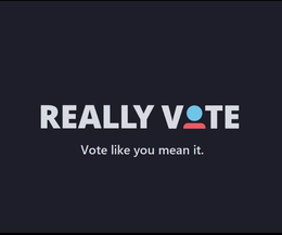 REALLY VOTE VOTE LIKE YOU MEAN IT trademark