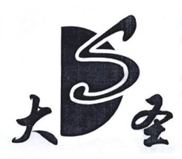 DS trademark