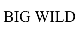 BIG WILD trademark