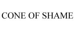 CONE OF SHAME trademark