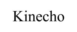 KINECHO trademark