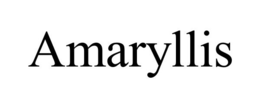 AMARYLLIS trademark