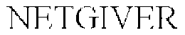 NETGIVER trademark