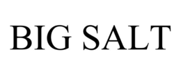 BIG SALT trademark