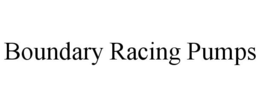 BOUNDARY RACING PUMPS trademark