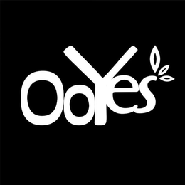 OOYES trademark