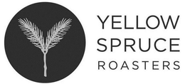 YELLOW SPRUCE ROASTERS trademark