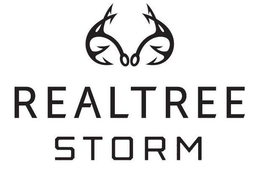 REALTREE STORM trademark