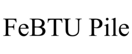 FEBTU PILE trademark