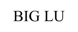 BIG LU trademark