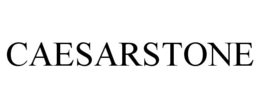 CAESARSTONE trademark