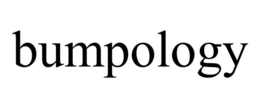 BUMPOLOGY trademark