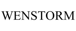 WENSTORM trademark