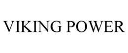 VIKING POWER trademark