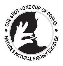 NATURES NATURAL ENERGY BOOSTER ONE SHOT= ONE CUP OF COFFEE trademark