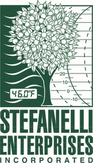 46.0ºF STEFANELLI ENTERPRISES INCORPORATED trademark