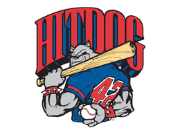 HIT DOG 42 trademark