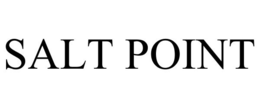 SALT POINT trademark