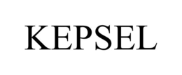 KEPSEL trademark