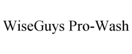 WISEGUYS PRO-WASH trademark