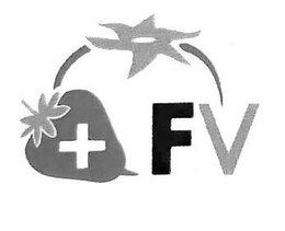 FV trademark