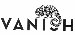 VANISH trademark