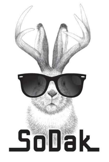 SODAK trademark