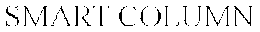 SMART COLUMN trademark