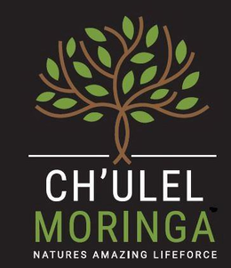 CH'ULEL MORINGA NATURES AMAZING LIFE FORCE trademark