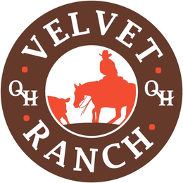 ·VELVET· ·RANCH· QH QH trademark