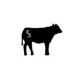 E3 trademark