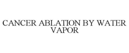 CANCER ABLATION BY WATER VAPOR trademark