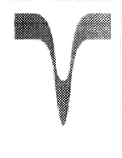 V trademark