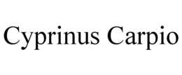 CYPRINUS CARPIO trademark