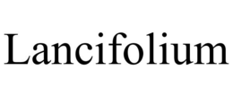 LANCIFOLIUM trademark