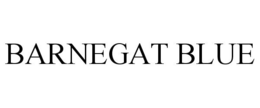 BARNEGAT BLUE trademark