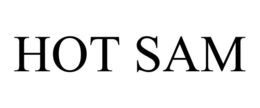 HOT SAM trademark
