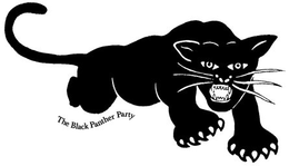THE BLACK PANTHER PARTY trademark