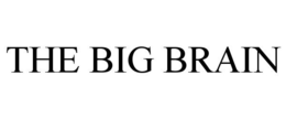THE BIG BRAIN trademark