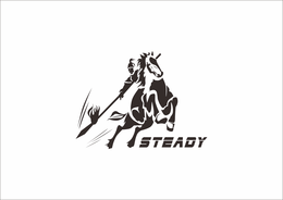 STEADY trademark