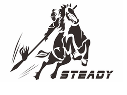 STEADY trademark