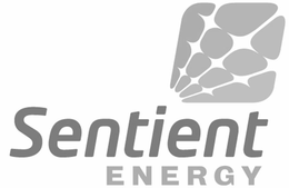 SENTIENT ENERGY trademark