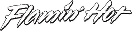 FLAMIN' HOT trademark