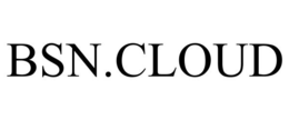 BSN.CLOUD trademark