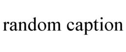 RANDOM CAPTION trademark