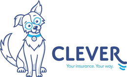 CLEVER YOUR INSURANCE.YOUR WAY. trademark