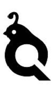 Q trademark